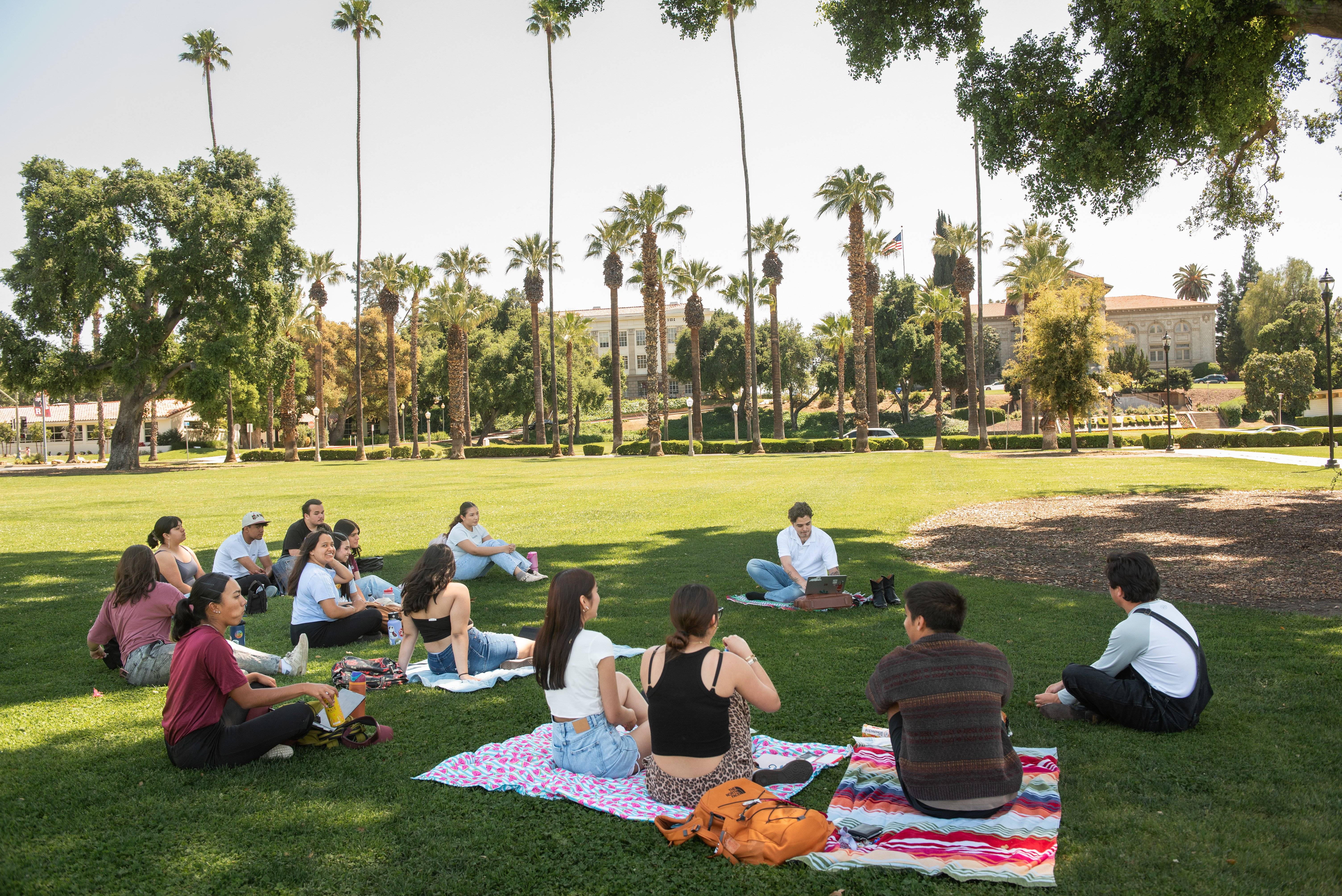 a group of people sitting on blankets in a park
