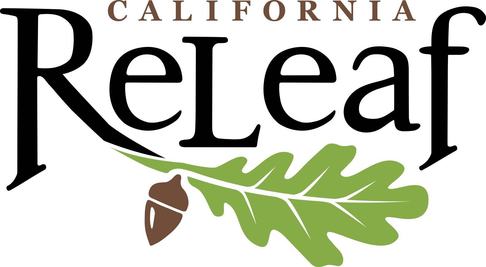 a logo with a leaf and acorn