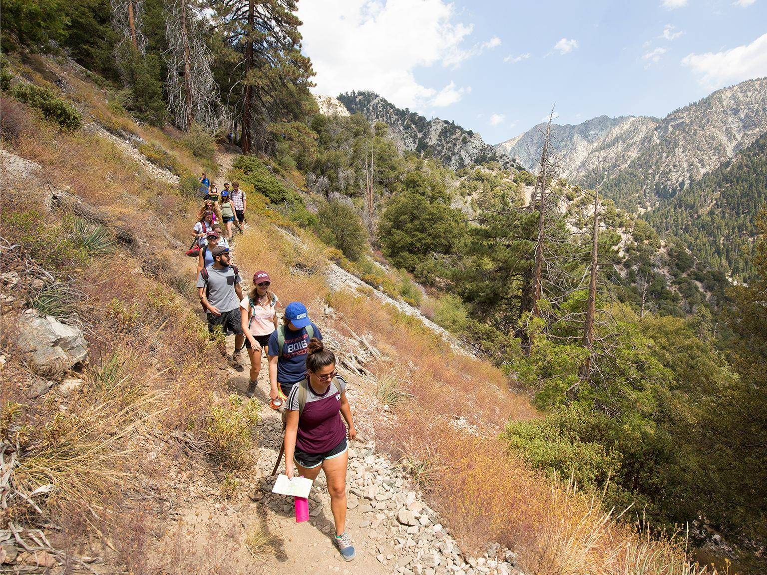 a group of people hiking on a trail