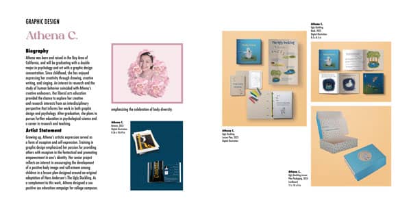 a close-up of several brochures