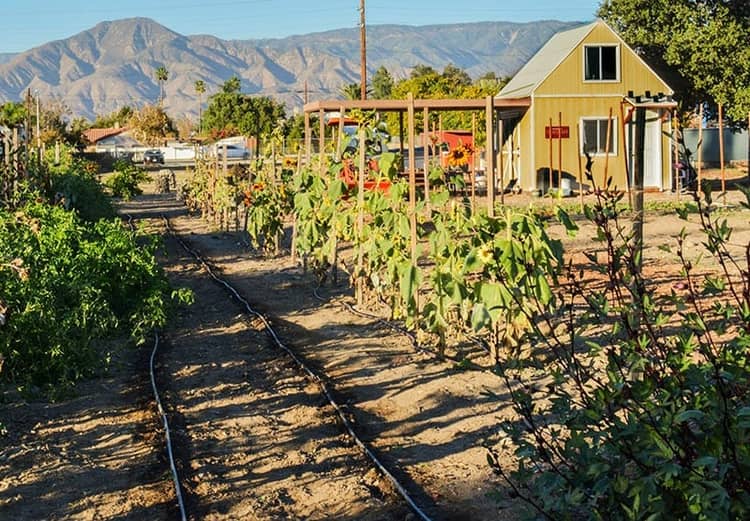 a farm with a house and mountains in the background