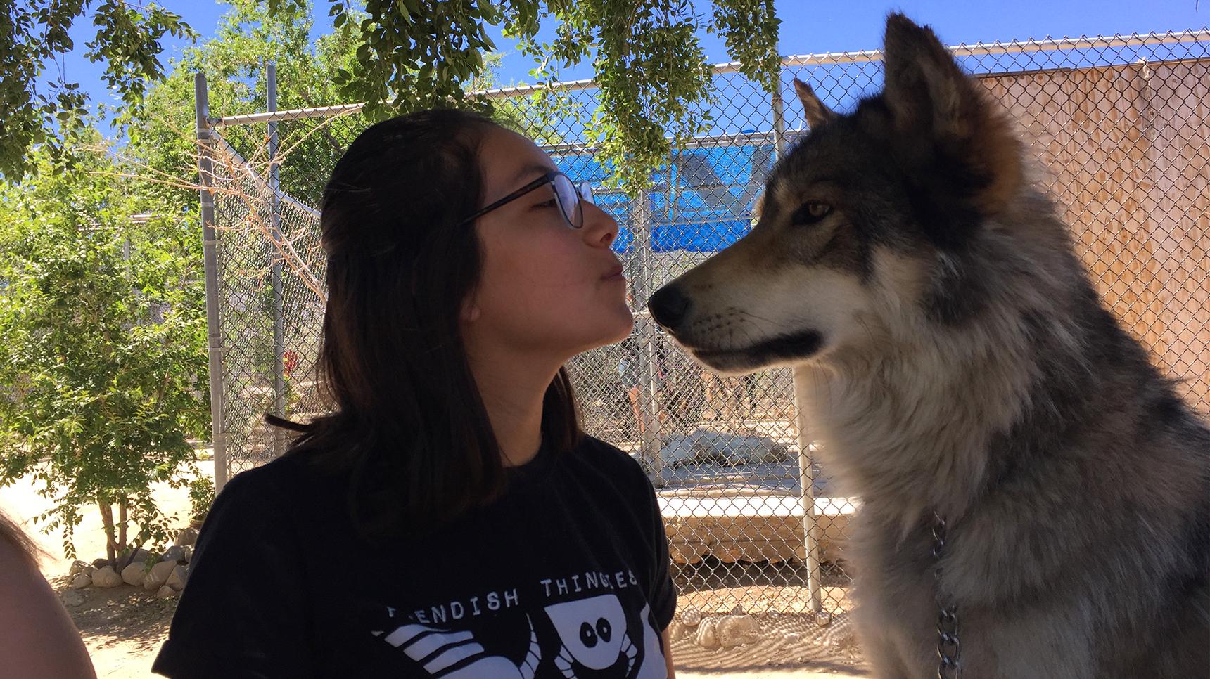 a woman kissing a dog