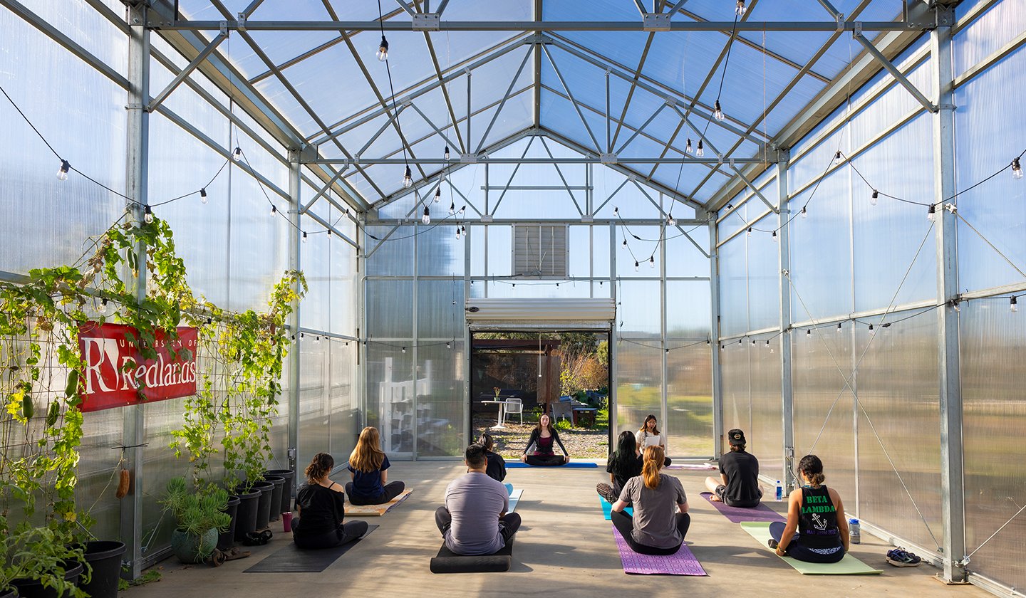 meditation in the Greenhouse