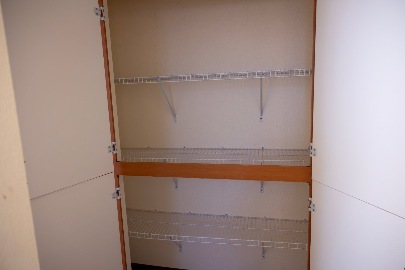 a closet with shelves and a door open