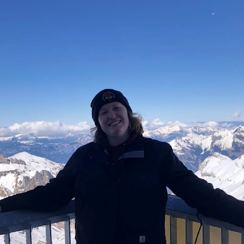 a person standing on a railing with snow covered mountains in the background