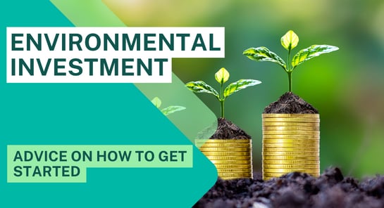 a stack of coins with a plant growing out of them