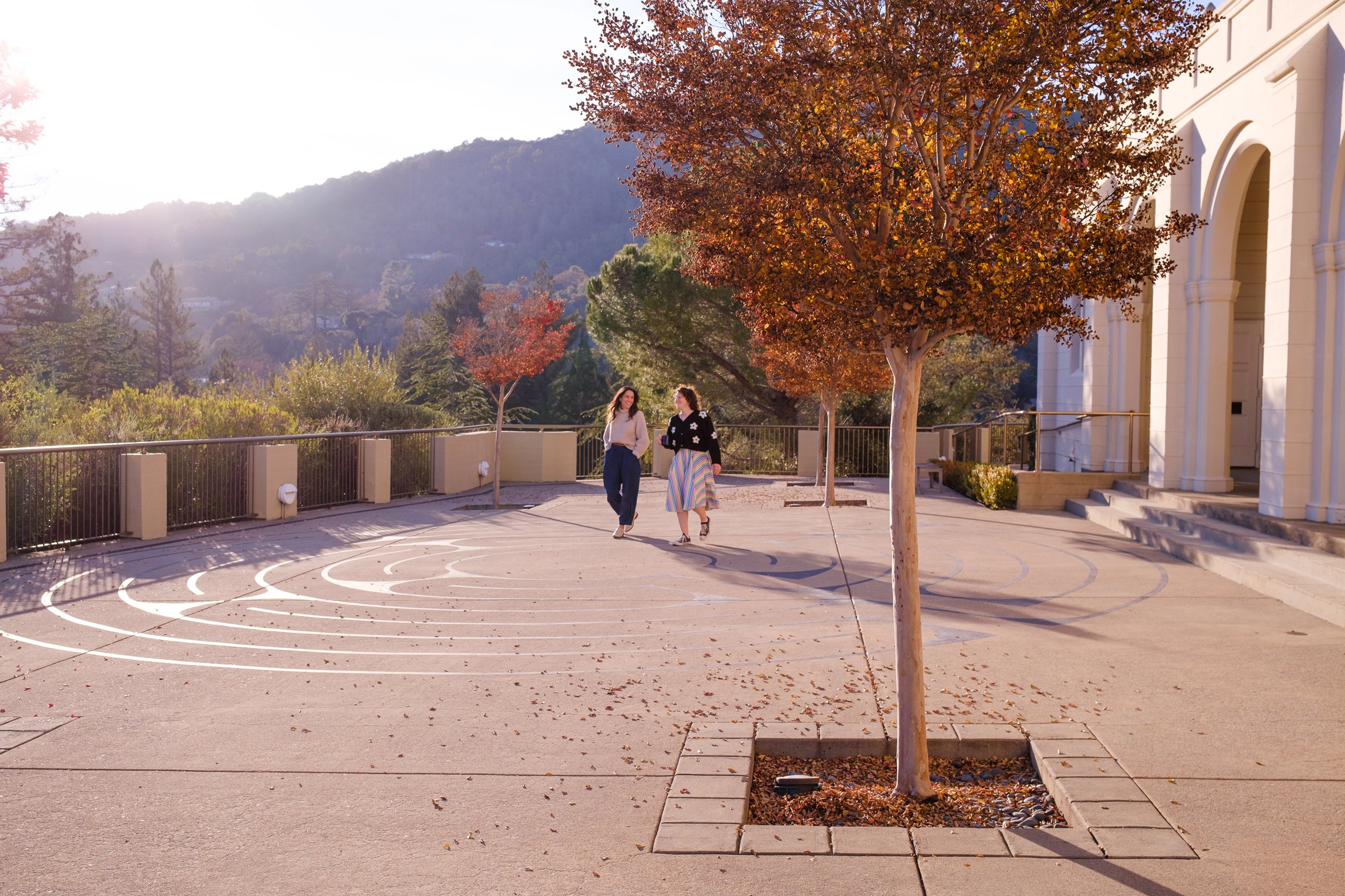 two women walking on a path with a tree and a fence