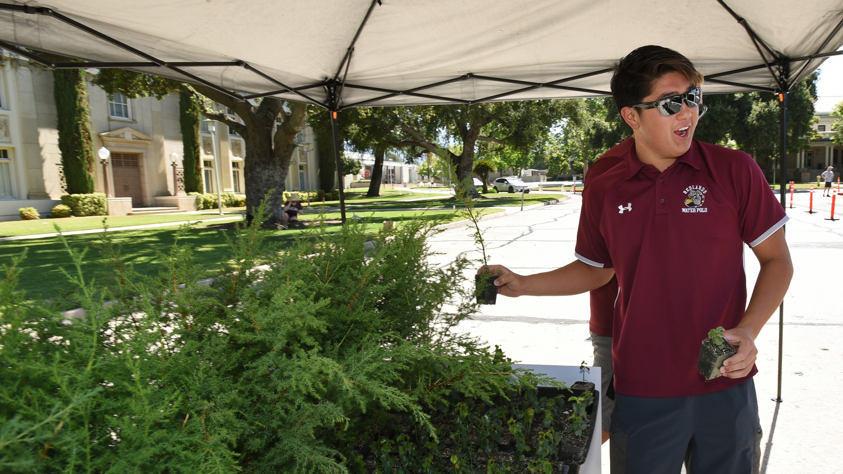 a man holding a plant under a canopy
