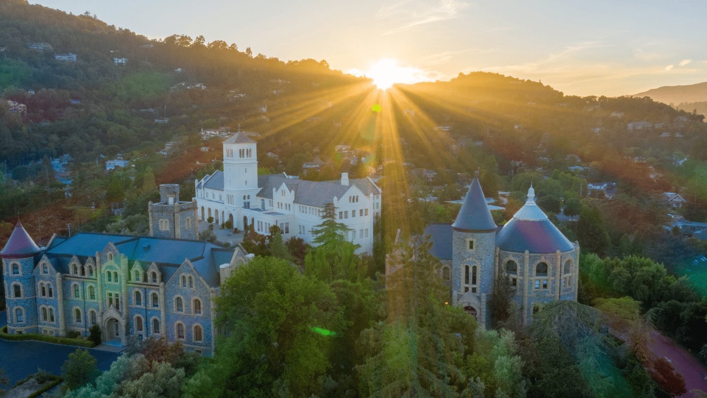 a sun shining through the trees