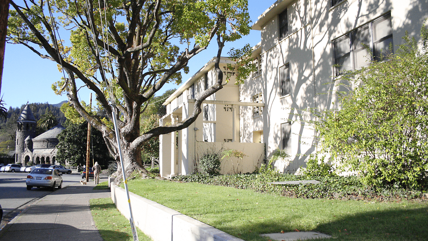 a building with a tree and grass