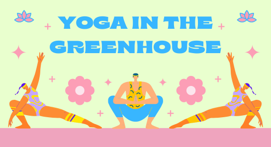 a group of people doing yoga