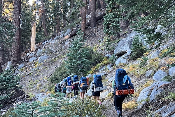 a group of people hiking in the woods