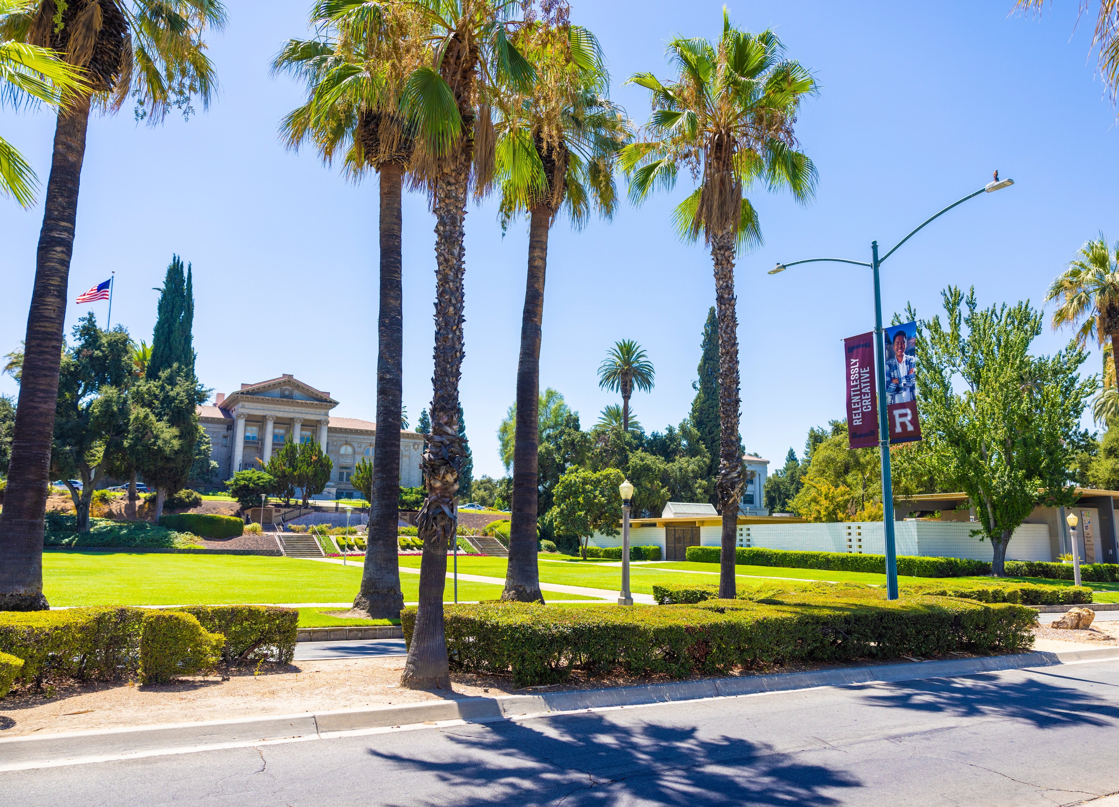 a palm trees in front of a building