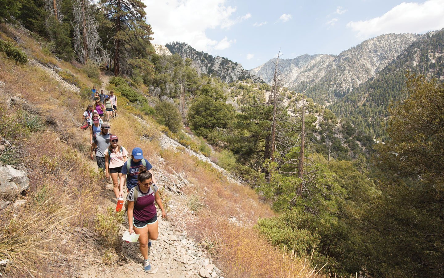 a group of people walking on a trail