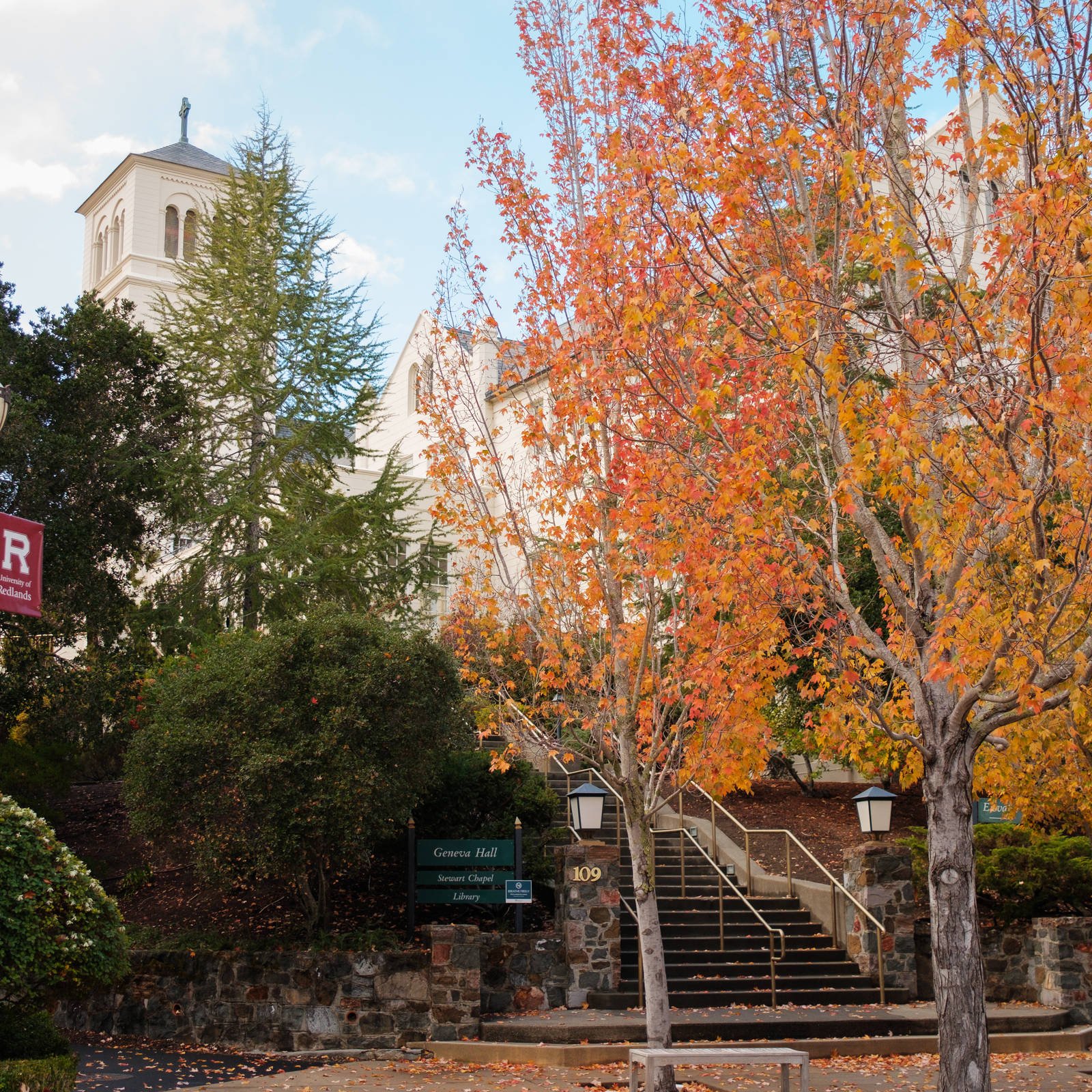 a building with trees and stairs