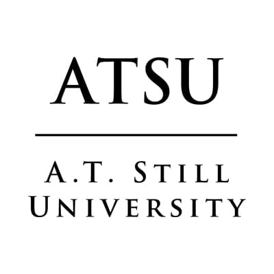 a close-up of a logo