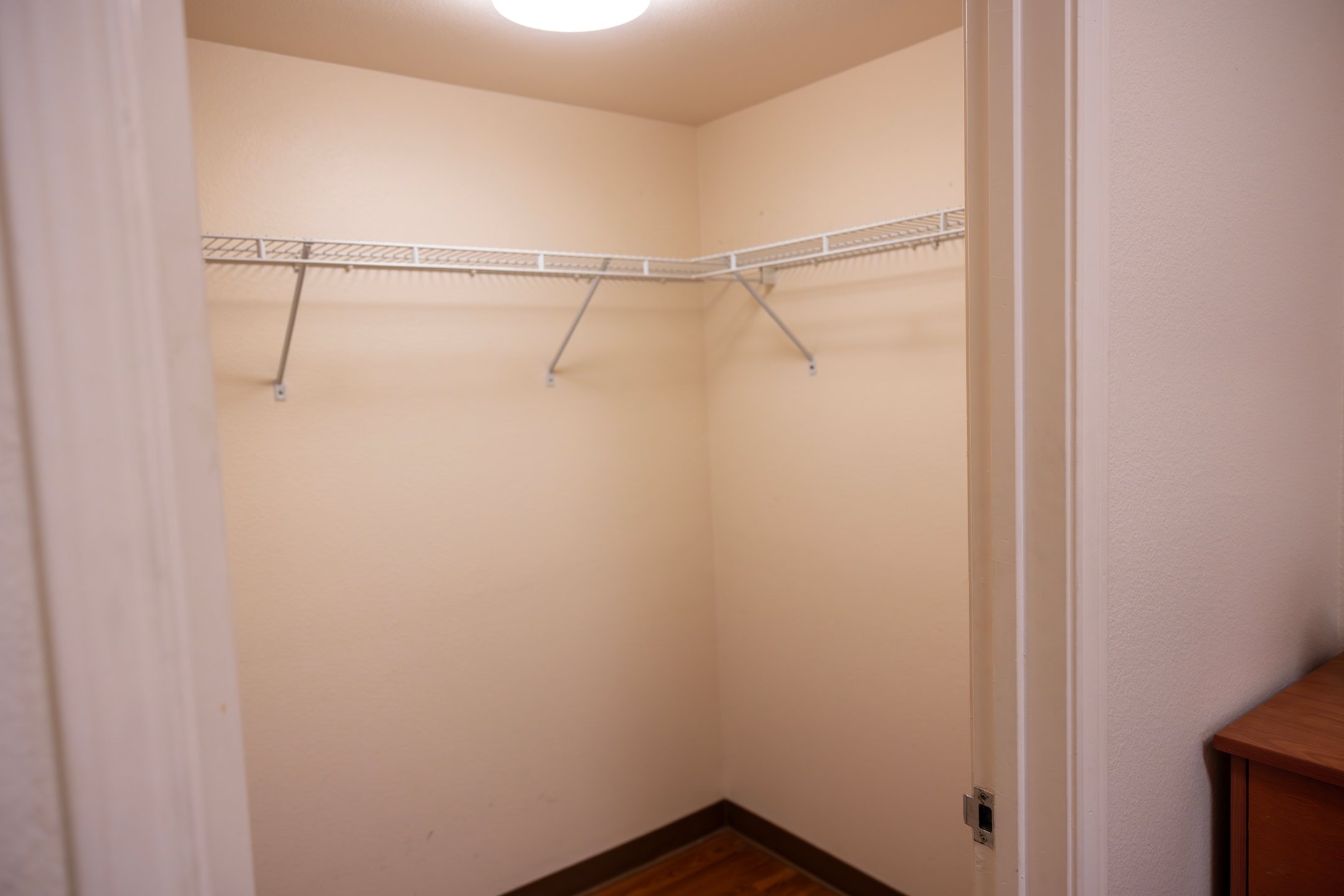 a closet with shelves and a light