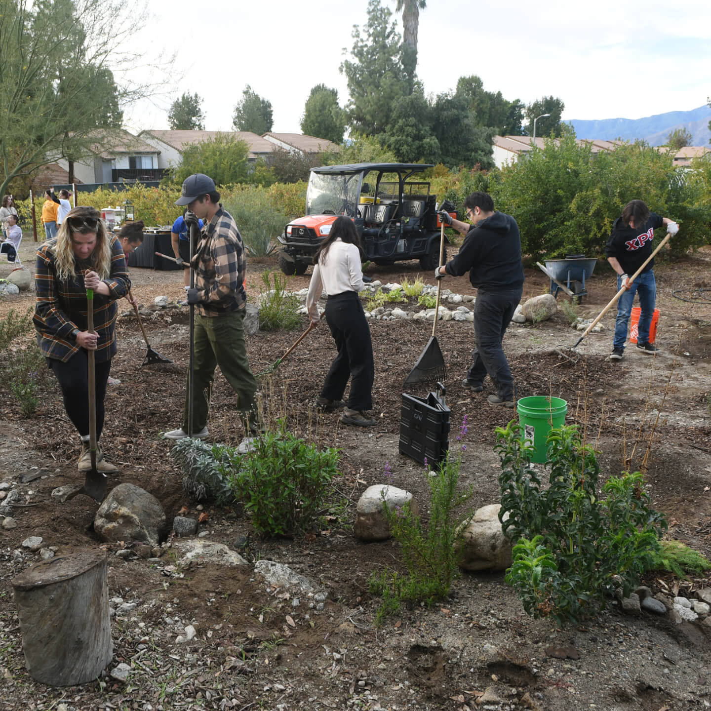 a group of people digging in a garden