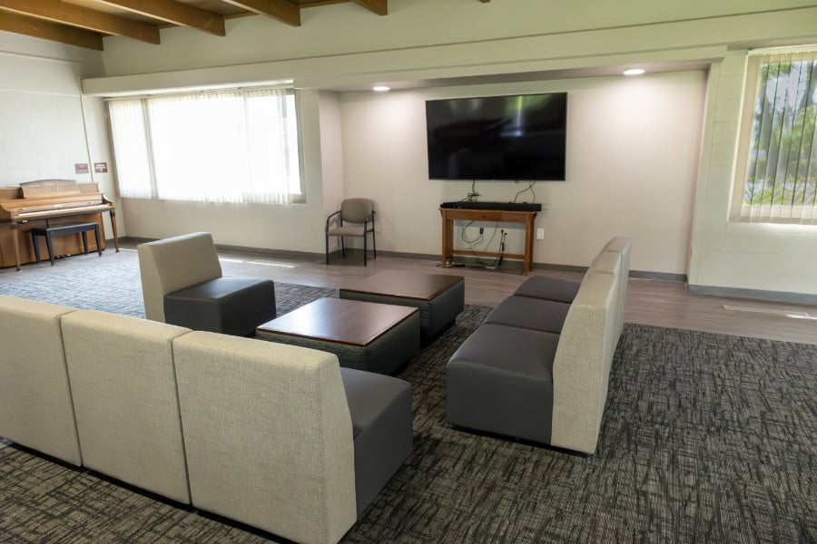 a room with couches and a television