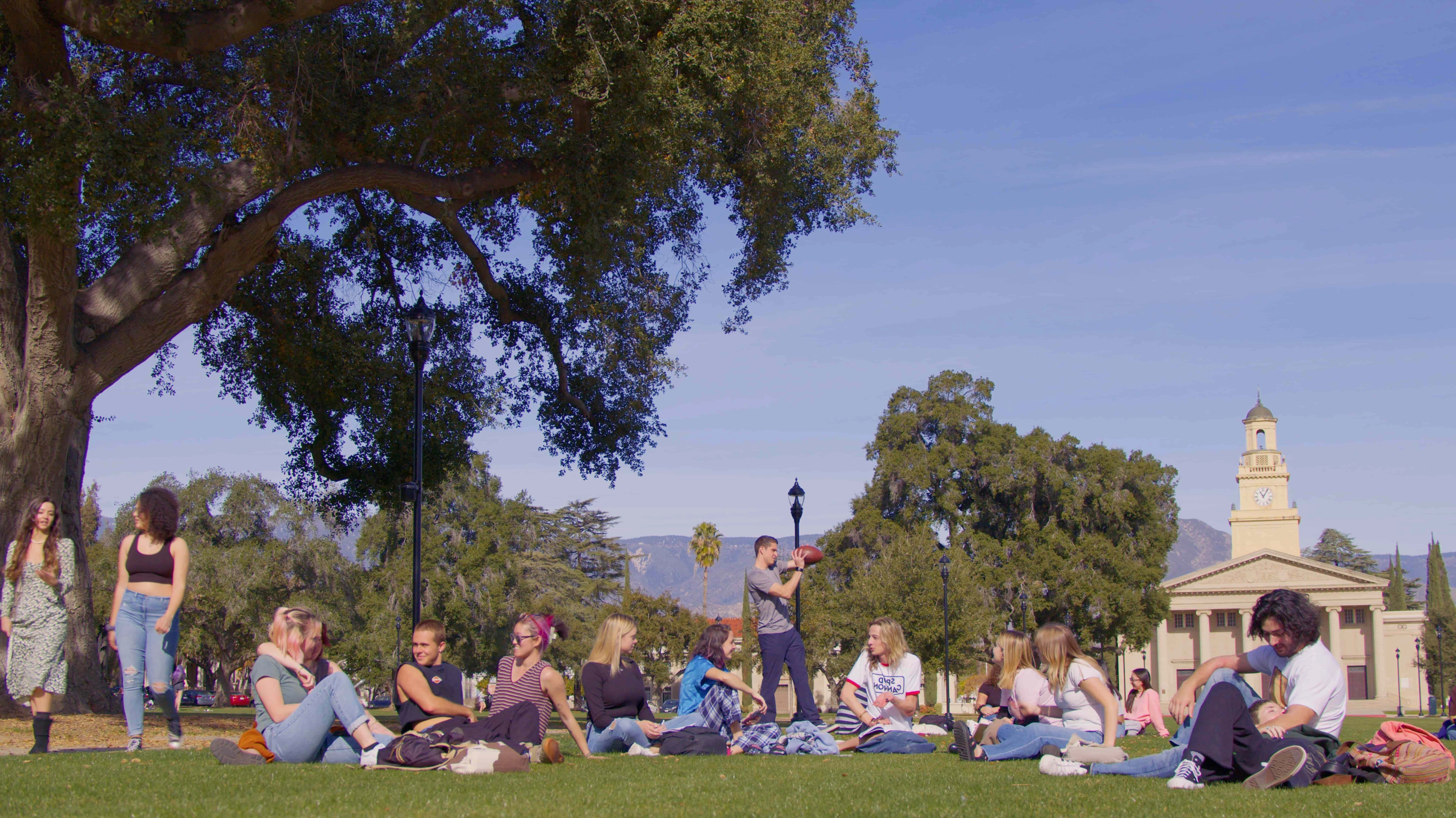 still-2026-02-05-143130_1.4.1-1-1