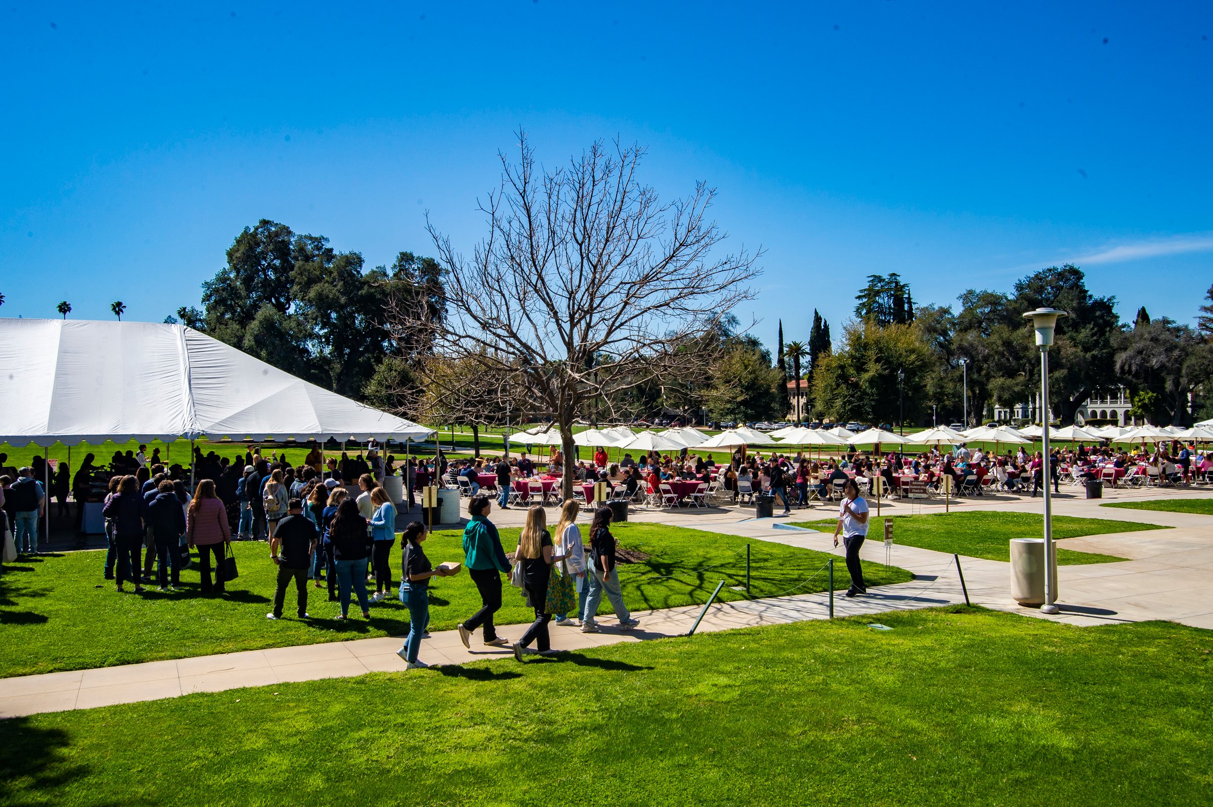 20230318_Admitted_Students_Day_FP-073- (1)