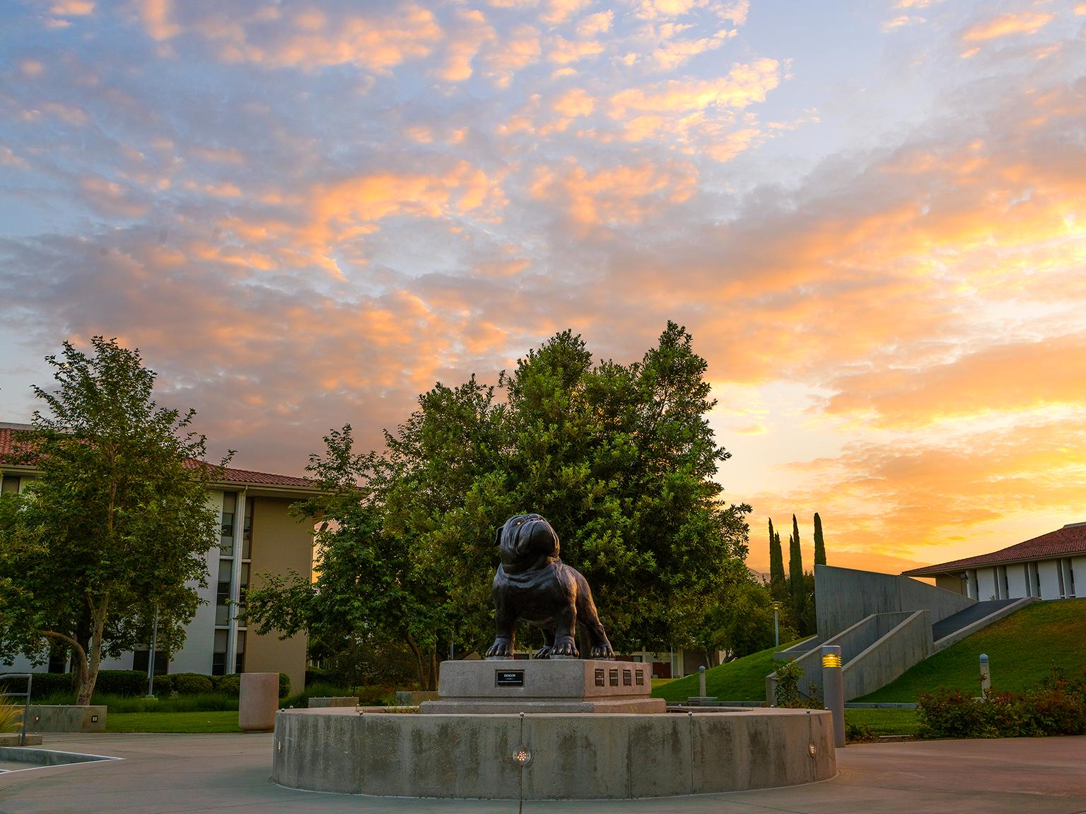 Bulldog statue standing during a sunset.