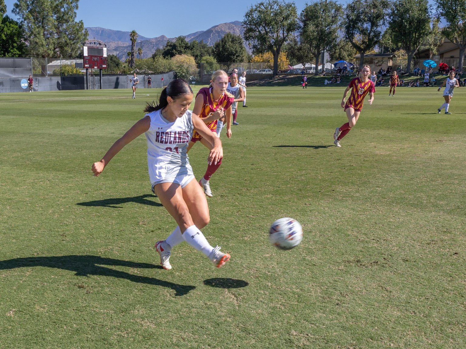 Bulldog-Bench-1536x1152