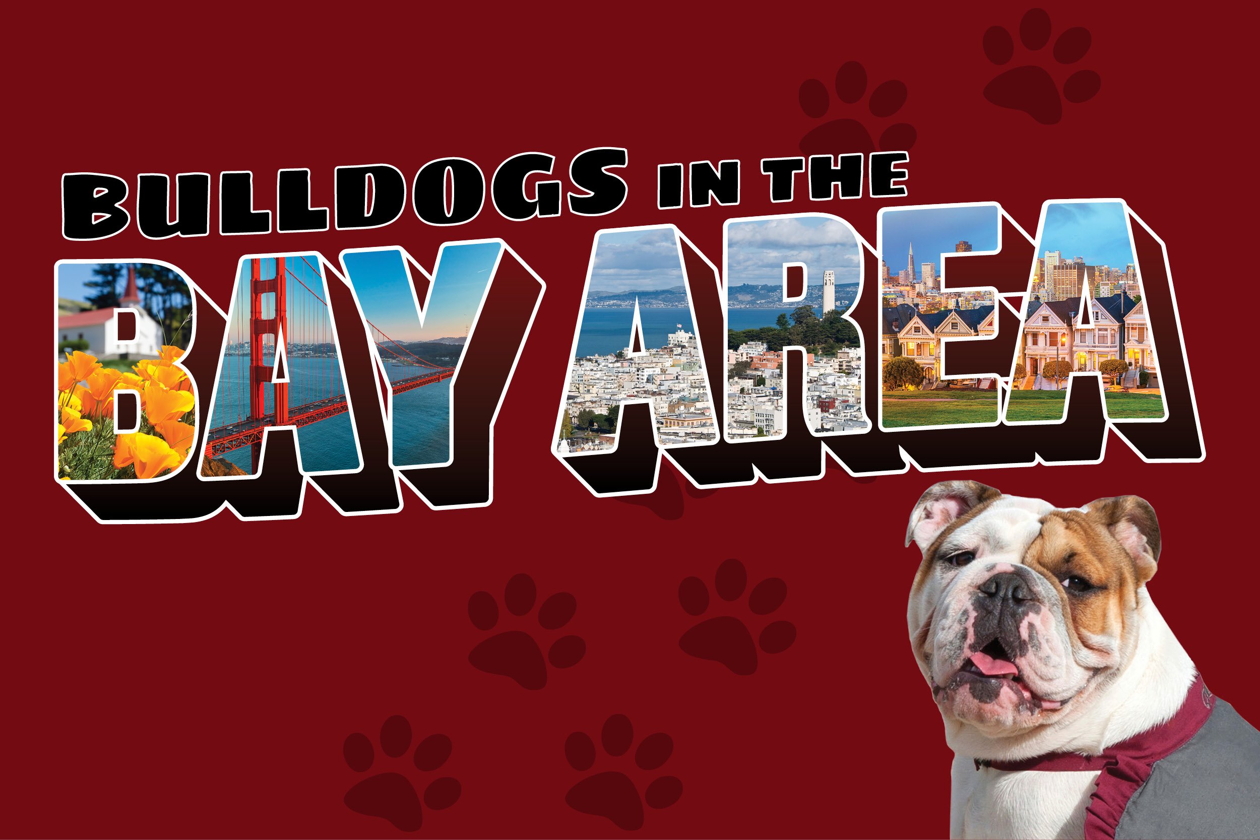 ACR-18-009 Bay Area Web Image 600x400 Maroon