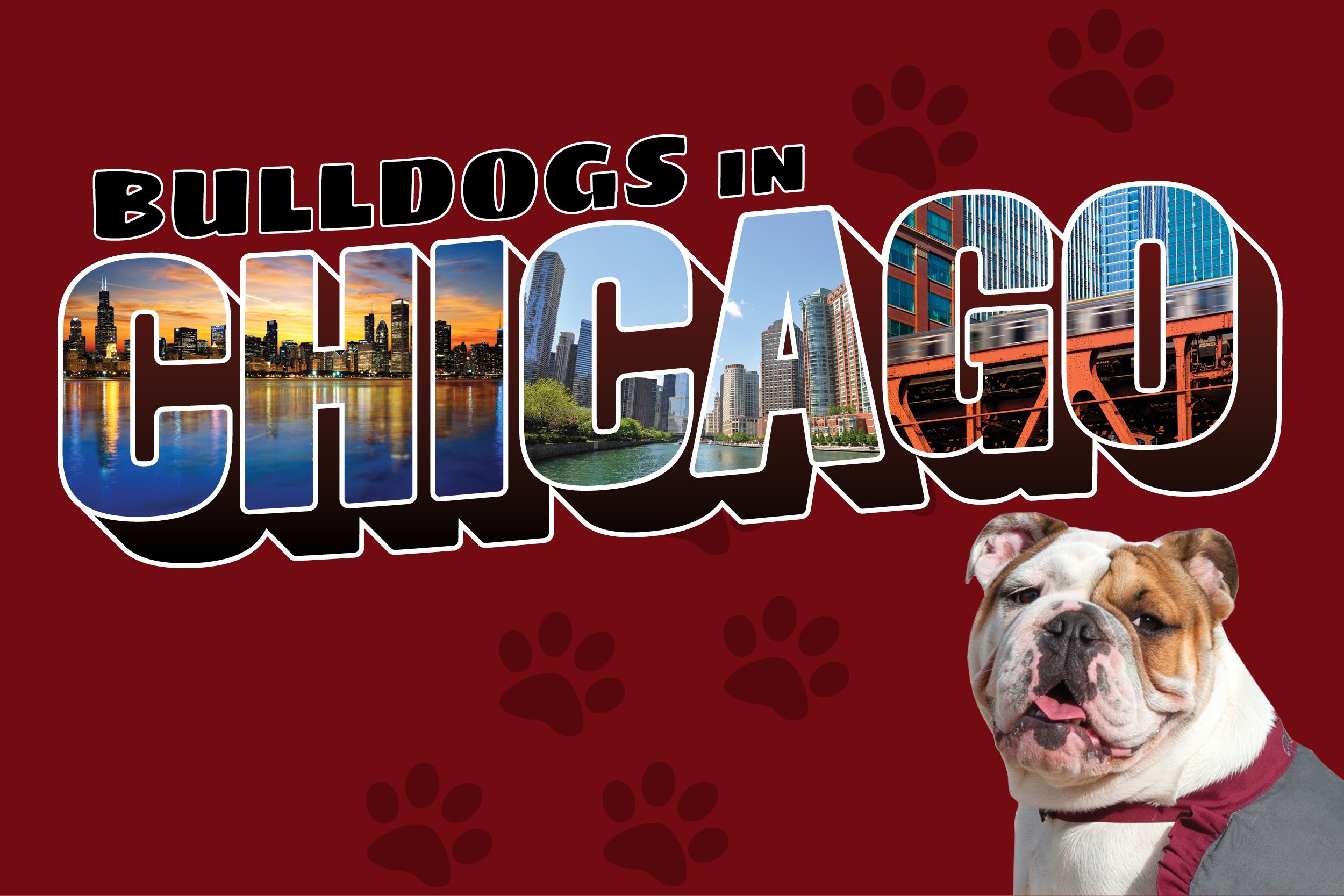 ACR-18-009 Chicago Web Image 600x400 Maroon