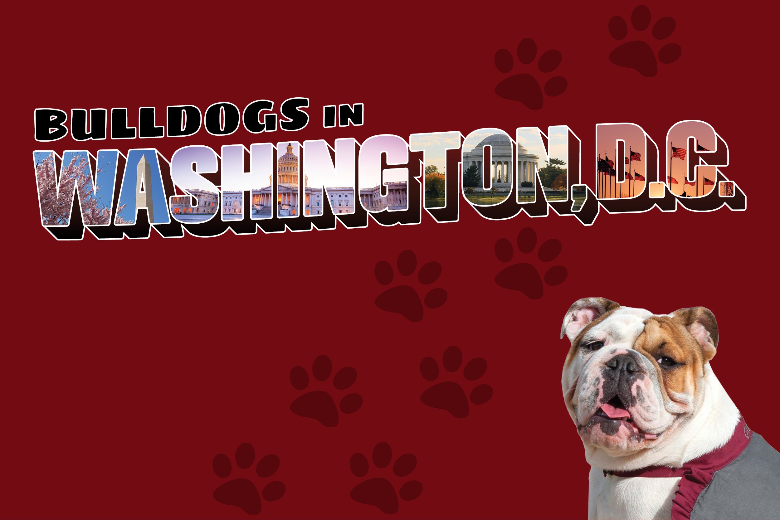 ACR-18-009 DC Web Image 600x400 Maroon