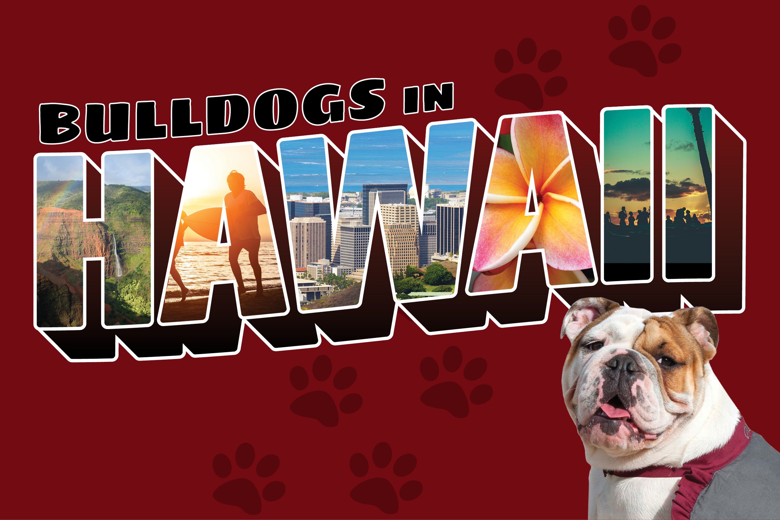 ACR-18-009 Hawaii Web Image 600x400 Maroon