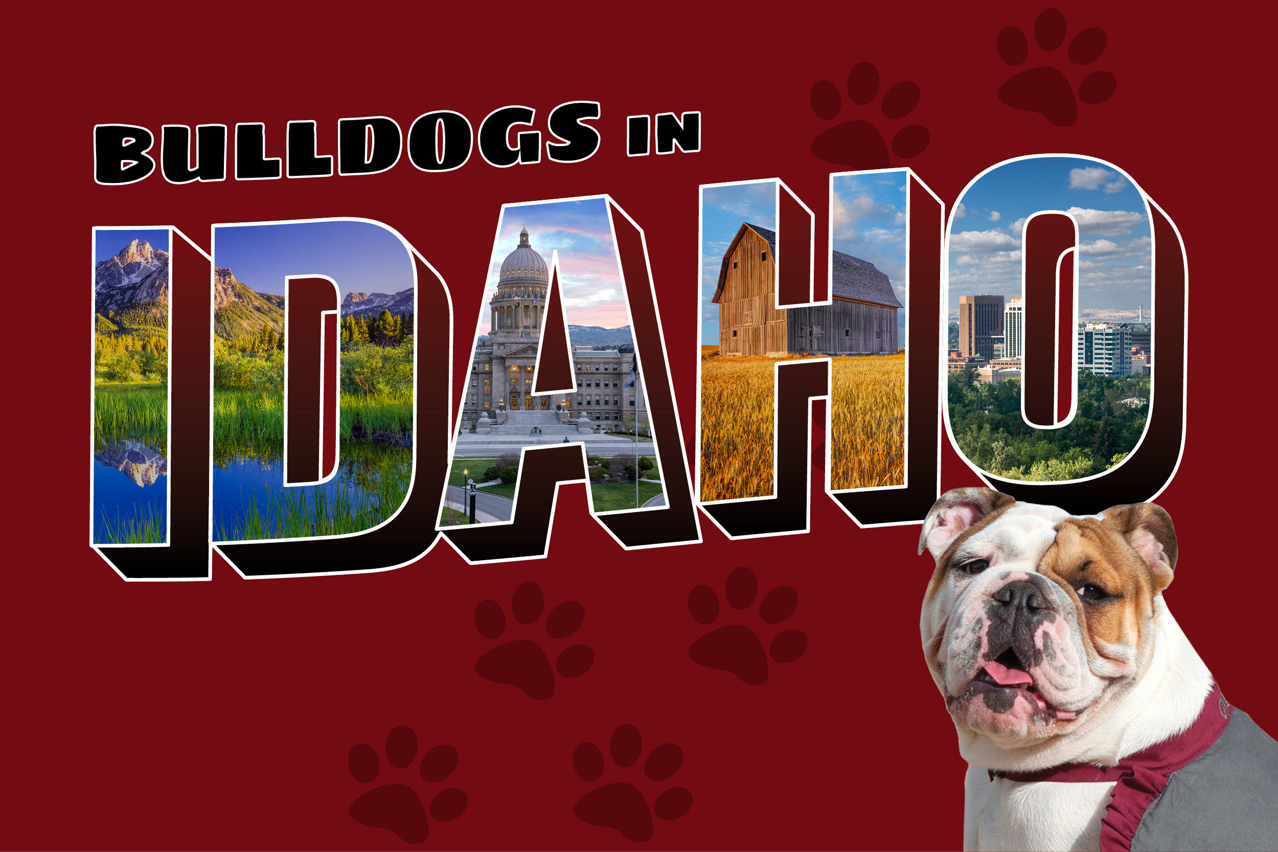 ACR-18-009 Idaho Web Image 600x400 Maroon