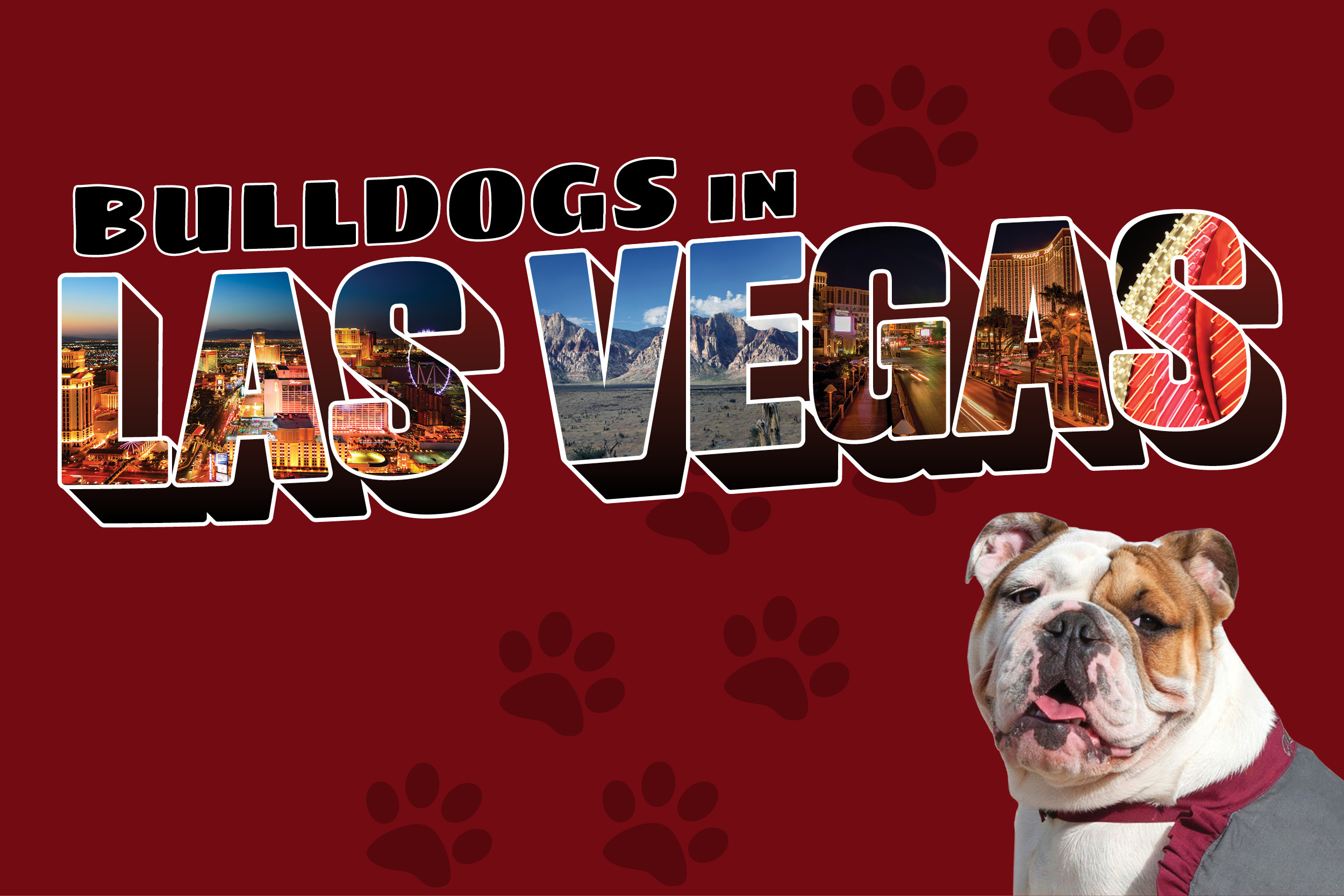 ACR-18-009 Las Vegas Web Image 600x400 Maroon