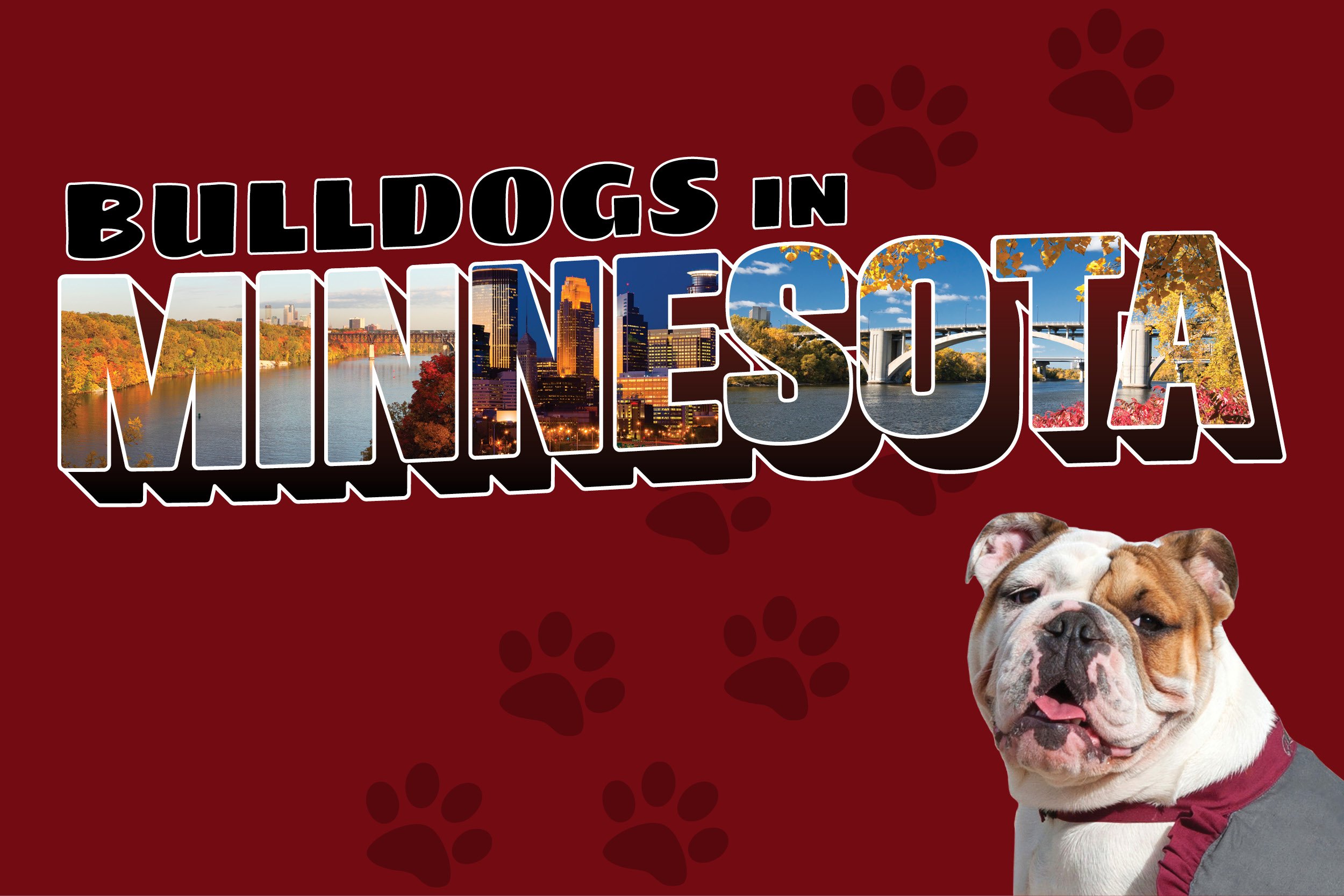 ACR-18-009 Minnesota Web Image 600x400 Maroon