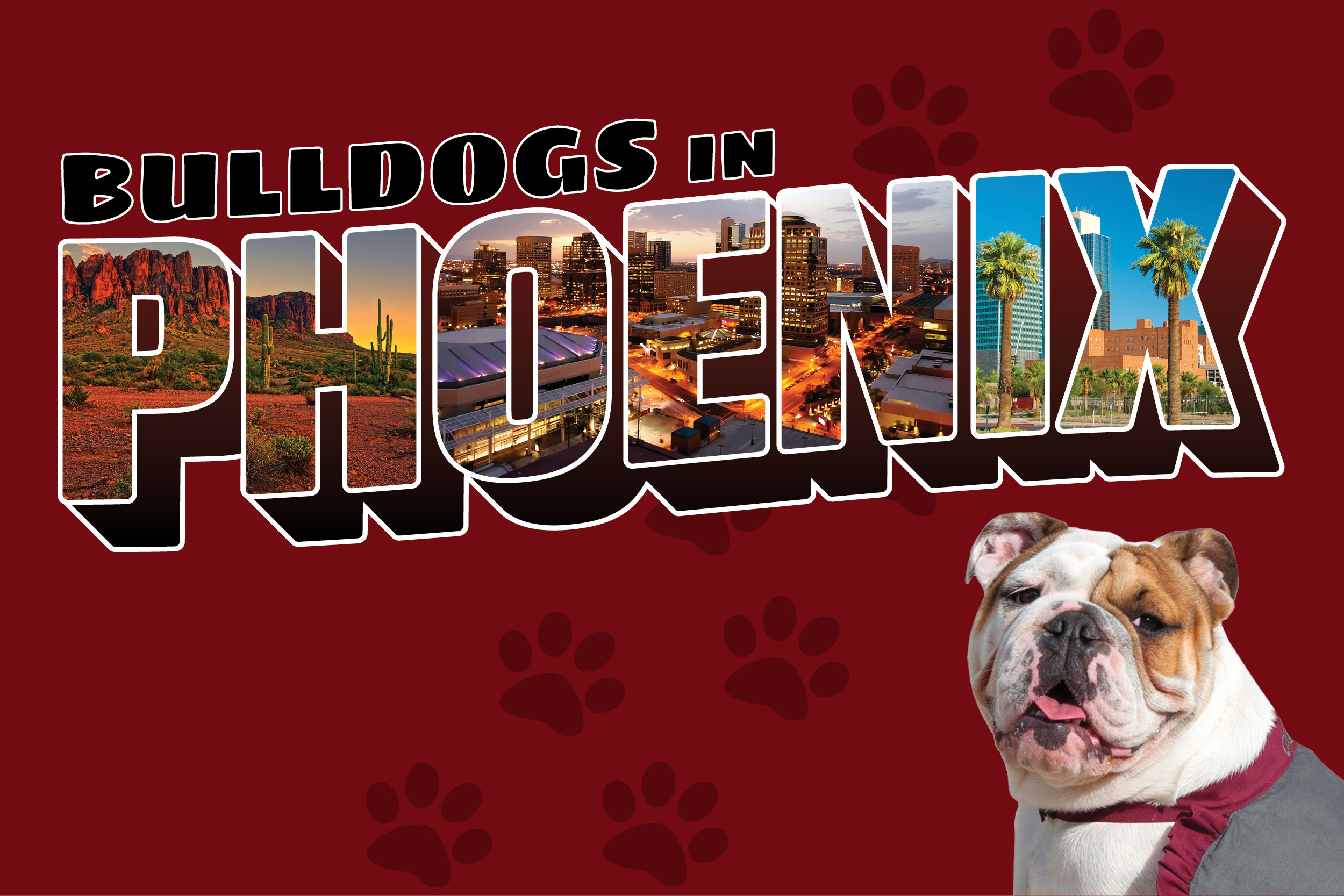 ACR-18-009 Phoenix Web Image 600x400 Maroon