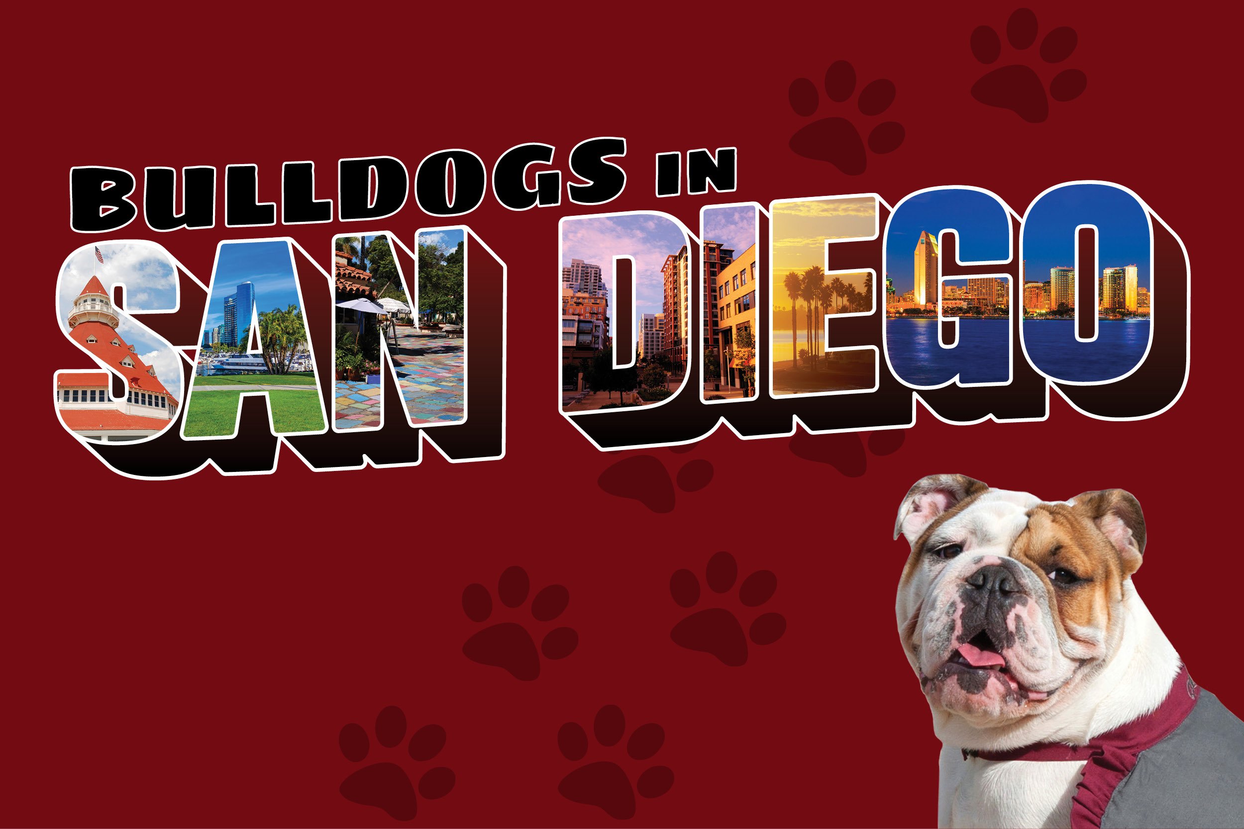 ACR-18-009 San Diego Web Image 600x400 Maroon