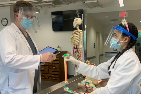 LLUPT-pathways-600x400