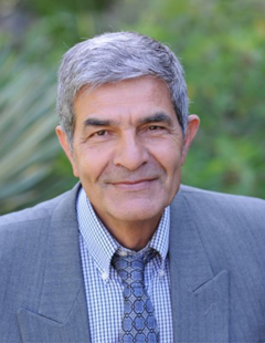 Headshot of Professor Falatoonzadeh