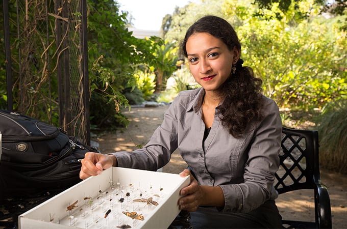 A student sits in the LaFourcade Garden and displays a box of pinned insects.
