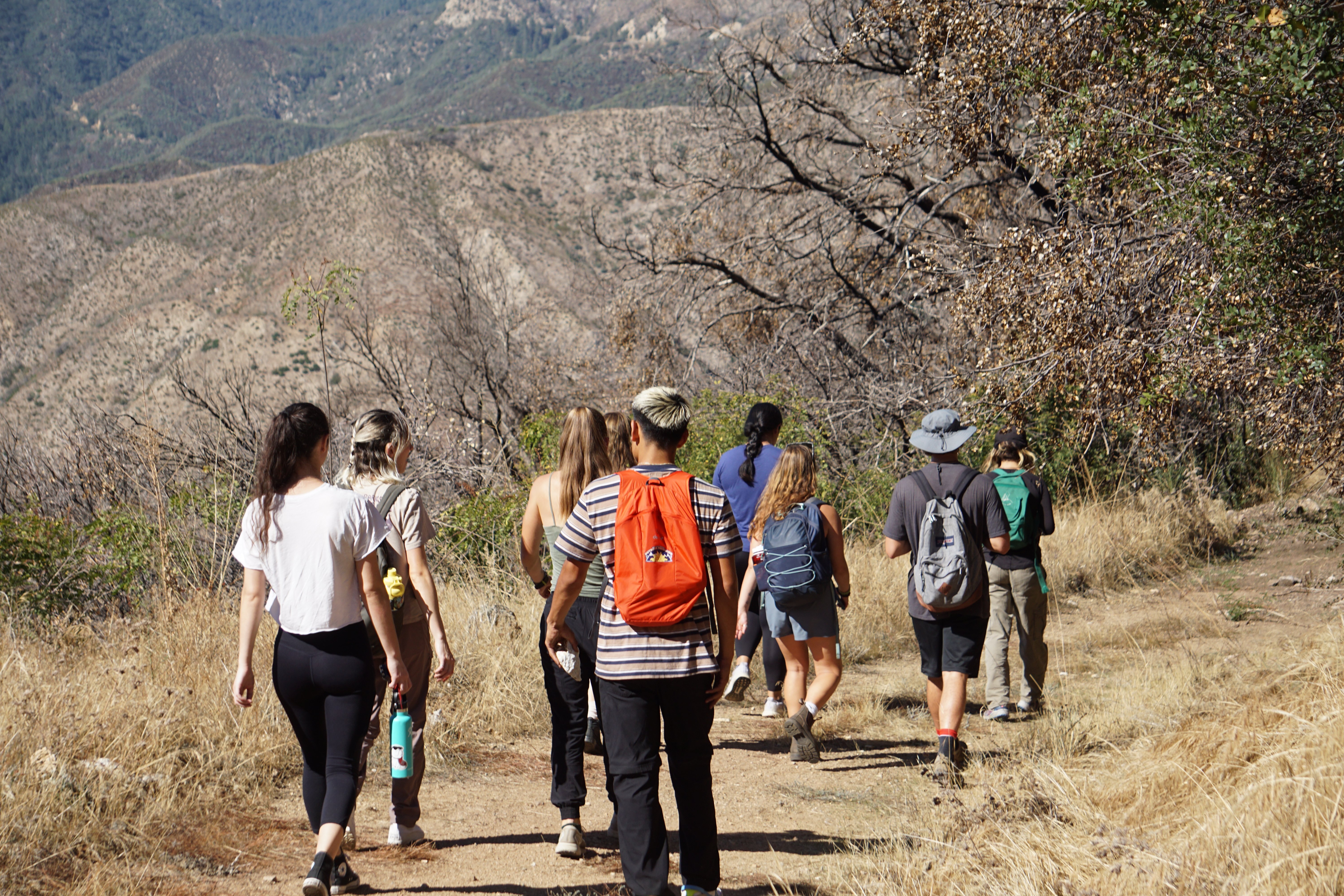 Biodiversity Students in the Bearpaw Reserve