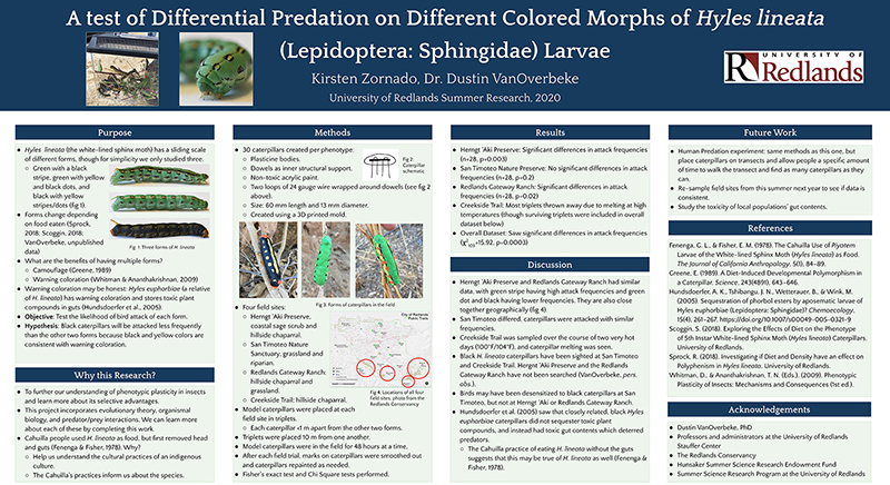 SSR 2020 A test of Differential Predation on Different Colored Morphs of Hyles lineata Larvae.jpg