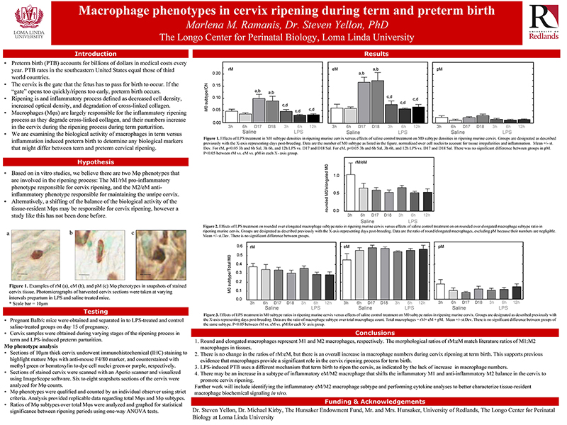 SSR 2020 Macrophage phenotypes in cervix ripening during term and preterm birth.jpg
