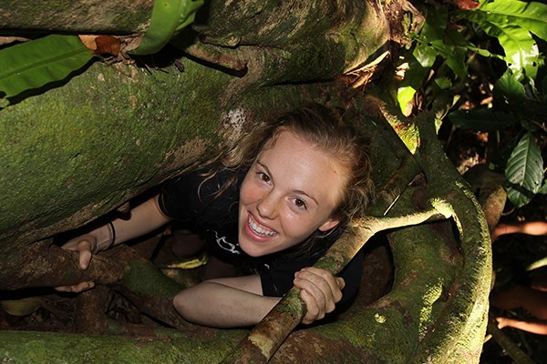 McKenzie Caborn '16 climbs up the inner core of a giant strangler fig tree