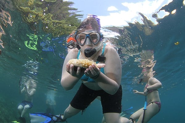 Christina Weisbruch '17 holds a mushroom coral. 