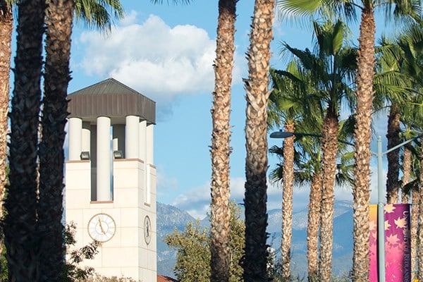 Hunsaker Plaza Clocktower behind Palm Trees